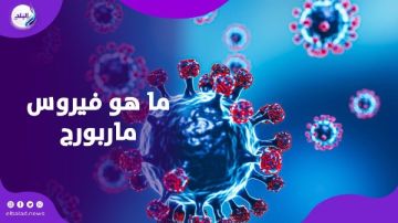 انتشار فيروس ماربورج يثير التساؤلات.. والصحة المصرية تحسم الجدل انتشار فيروس ماربورج يثير التساؤلات.. والصحة المصرية تحسم الجدل