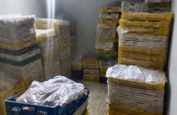 ضبط 3.3 طن لحوم ودواجن غير صالحة بالمطرية ضبط 3.3 طن لحوم ودواجن غير صالحة بالمطرية