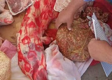 ضبط 3 أطنان لحوم ودواجن وأسماك غير صالحة للاستهلاك خلال حملات موسعة في المنوفية