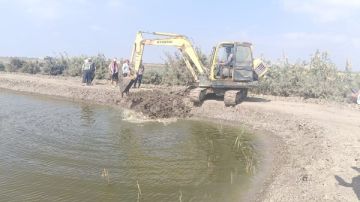 الزراعة تكشف عن مجهوداتها فى إزالة التعديات وتطهير المساقي الزراعة تكشف عن مجهوداتها فى إزالة التعديات وتطهير المساقي