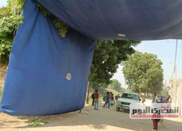  القومي للمرأة يعلن تخصيص غرفة عمليات لمتابعة انتخابات مجلس النواب 2025