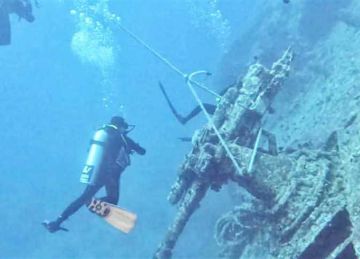 تحذيرات من تلف الشعب المرجانية النادرة لغياب الشمندورات في أماكن الغوص بالبحر الأحمر