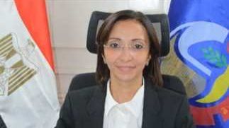 محافظ البحيرة: تجهيز مواقع مخصصة لإيواء الكلاب الضالة بطرق آمنة