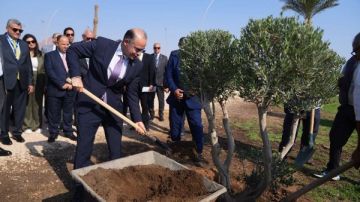 قيادات التأمين تطلق مبادرة تحييد الكربون بزراعة الأشجار في شرم الشيخ صور قيادات التأمين تطلق مبادرة تحييد الكربون بزراعة الأشجار في شرم الشيخ صور