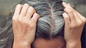 نشرة المرأة والمنوعات أطعمة ممنوعة تماما قبل سن السنة.. استرجعي لون شعرك الطبيعي بوصفات منزلية