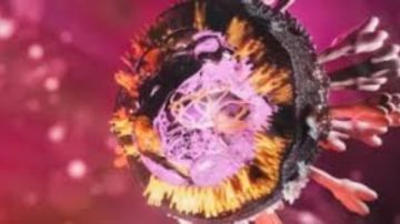 ينتقل عبر خفافيش الفاكهة.. الصحة: مصر خالية من فيروس ماربورج ينتقل عبر خفافيش الفاكهة.. الصحة: مصر خالية من فيروس ماربورج