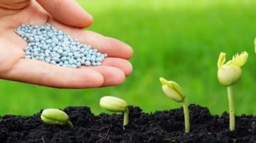 أسعار الأسمدة في الأسواق والجمعيات الزراعية اليوم الإثنين 17 نوفمبر 2025