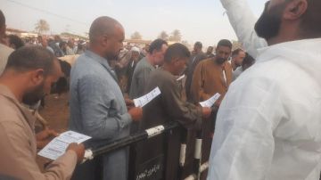 التأمين على الثروة الحيوانية.. حملة بيطرية لدعم صغار المربين بالبحيرة التأمين على الثروة الحيوانية.. حملة بيطرية لدعم صغار المربين بالبحيرة