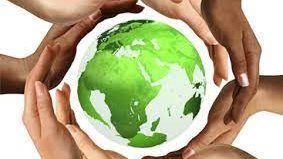 برلماني: توجه الدولة نحو المشروعات الخضراء يعزز التنمية المستدامة