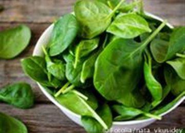  هتفضل محتفظة بلونها وفوائدها .. خطوات تخزين السبانخ لأطول مدة في الفريزر