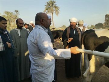  الزراعة تواصل حملاتها المكثفة للمرور على أسواق الماشية لمتابعة استقرار الوضع الوبائي