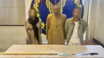 لطلب فدية من أهله .. سيدة تستدرج شابا لمنزلها وتحتجزه بالسلام لطلب فدية من أهله .. سيدة تستدرج شابا لمنزلها وتحتجزه بالسلام