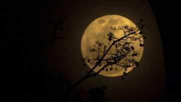 قمر الظلام العملاق البارد يظهر في سماء مصر الليلة قمر الظلام العملاق البارد يظهر في سماء مصر الليلة