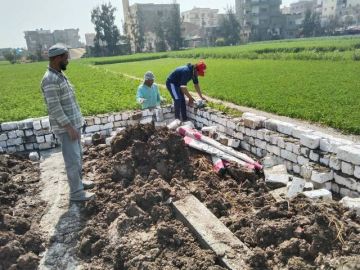 مصر.. الإصلاح الزراعي تزيل 150 تعديا على أملاكها خلال أكتوبر الماضي