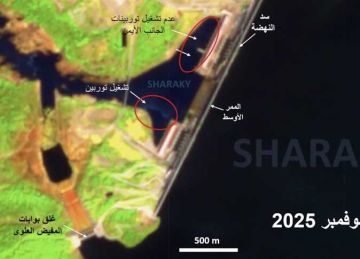 عباس شراقي: جميع التوربينات بلا عمل منذ افتتاح سد النهضة (تفاصيل) عباس شراقي: جميع التوربينات بلا عمل منذ افتتاح سد النهضة (تفاصيل)