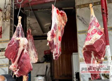 250 جنيها للحم المجمد.. أسعار اللحوم وأنواعها فى أسواق مطروح اليوم