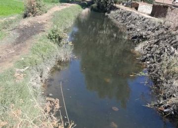 استمرار أعمال تطهير الترع والمصارف لضمان وصول المياه وحماية الرقعة الزراعية بأسيوط استمرار أعمال تطهير الترع والمصارف لضمان وصول المياه وحماية الرقعة الزراعية بأسيوط