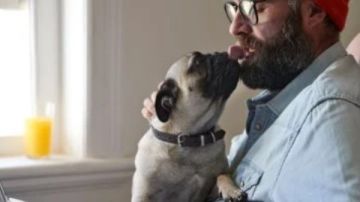 تجنب تقبيل حيوانك الأليف.. مخاطر صحية خطيرة تهدد حياتك