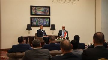 وزير الخارجية يؤكد اعتزاز الدولة المصرية بأبنائها في الخارج