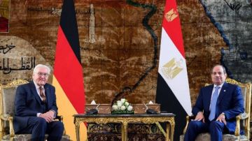 الرئيس السيسي وشتاينماير يبحثان دعم سكان غزة وتعزيز الاستقرار الإقليمي الرئيس السيسي وشتاينماير يبحثان دعم سكان غزة وتعزيز الاستقرار الإقليمي