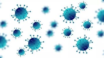 فيروس ماربوج.. أعراضه وكيفية طرق نقله والوقاية منه