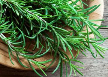 من المطبخ إلى المختبر.. دراسة: الروزماري يمتلك قدرة سحرية على شفاء الجلد دون آثار