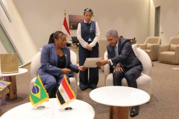 مصر تبحث مع البرازيل تعزيز التعاون في مجالات المتاحف