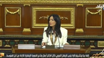 البرلمان الأوروبي: استضافة مصر لقمة شرم الشيخ للسلام تثبت قدرتها على القيادة وقت المواقف الحاسمة