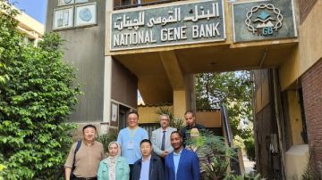 تعاون بين مصر والصين في حماية التراث الوراثي تفاصيل مهمة تعاون بين مصر والصين في حماية التراث الوراثي تفاصيل مهمة