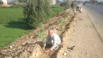 مبادرة 100 مليون شجرة.. زراعة 94 شتلة متنوعة بالمنيا مبادرة 100 مليون شجرة.. زراعة 94 شتلة متنوعة بالمنيا