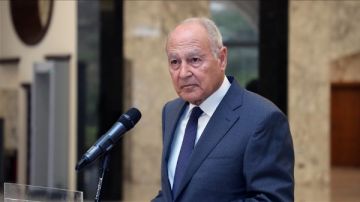 أبو الغيط: الشعب الفلسطيني يتعرض لجرائم مروعة من محتل غاشم