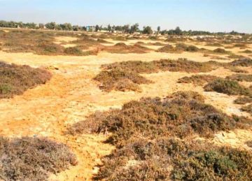 الحكومة توافق على إزالة صفة النفع العام عن قطعة أرض بمنطقة أثر النبي بالقاهرة الحكومة توافق على إزالة صفة النفع العام عن قطعة أرض بمنطقة أثر النبي بالقاهرة