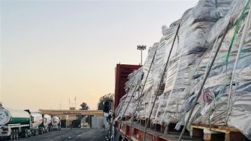 الهلال الأحمر يدفع بـ 260 ألف سلة غذائية و50 ألف بطانية إلى غزة (صور)