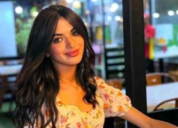 رسالة المحكمة للمجتمع في قضية سوزي الأردنية: الفضاء الإلكتروني ليس بعيدا عن القانون 