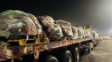 الهلال الأحمر المصري: مستلزمات شتوية وغذائية وبترولية تدخل إلى قطاع غزة الهلال الأحمر المصري: مستلزمات شتوية وغذائية وبترولية تدخل إلى قطاع غزة