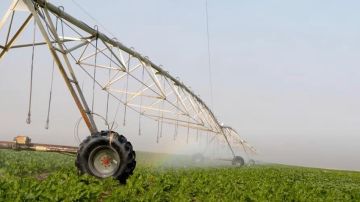 برلماني: مشروع الدلتا الجديدة ركيزة رئيسية لتحقيق الأمن الغذائي