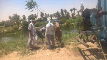 رئيس مدينة طنطا: غرس 125 شجرة مثمرة وزينة بعدد من القرى ضمن حملات التجميل