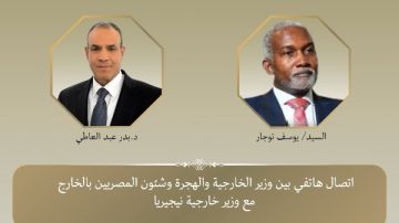 وزير الخارجية ونظيره النيجيري يبحثان تعزيز التعاون الثنائي والتنسيق الإقليمي