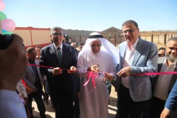 وزير الزراعة: مصر تمتلك أكبر عدد من أشجار النخيل في العالم بأكثر من 20 مليون نخلة