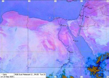 أمطار وسحب منخفضة.. الأرصاد تكشف حالة الطقس اليوم السبت 8 نوفمبر 2025