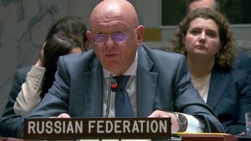 السفير الروسي لمجلس الأمن: لن ندعم قرارا لا يتضمن حل الدولتين