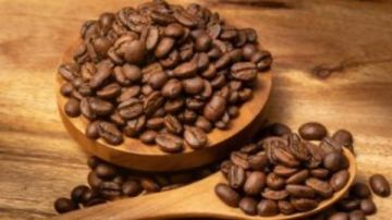 بدائل طبيعية تمنحك طاقة وتركيزا .. روائح نباتية تنافس الكافيين