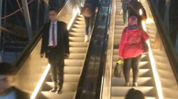 محافظ القليوبية يوجه بتركيب إضاءة ليد لإبراز المظهر الجمالي لسلم كهربائي ببنها محافظ القليوبية يوجه بتركيب إضاءة ليد لإبراز المظهر الجمالي لسلم كهربائي ببنها