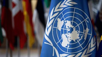 الأمم المتحدة: الفاشر تحتاج لمساعدات عاجلة وبكميات أكبر مما يصل حاليا