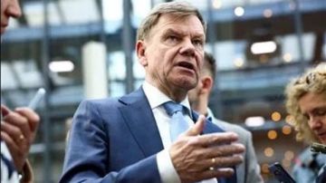 تعطلت طائرته.. وزير الخارجية الألماني يسافر على متن رحلة تجارية إلى كولومبيا