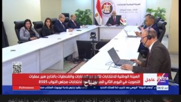 رؤساء اللجان: سير العملية الانتخابية بسلاسة وإقبال كبير من المصريين بالخارج