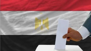 سفير مصر بهولندا: توافد المصريين على اللجان الانتخابية يثبت وعيهم بأهمية ممارسة حقوقهم الدستورية