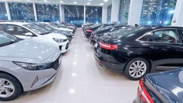 شعبة السيارات: وقف تراخيص المعارض أسفل العمارات يضر بـ3 ملايين عامل