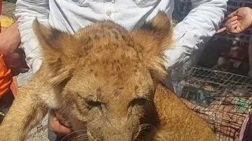 موعد افتتاح حديقة الحيوان بالجيزة النهائي بعد التأجيل