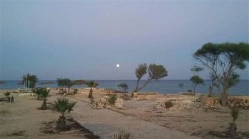 عاجل وزير المالية يكشف تفاصيل ومزايا صفقة علم الروم مع قطر عاجل وزير المالية يكشف تفاصيل ومزايا صفقة علم الروم مع قطر